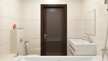 Дверь в ванную, санузел – как правильно выбрать?